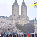 北京旅游 缩略图 1