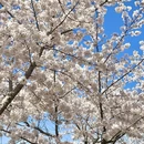 青岛旅游 缩略图 9