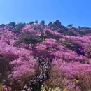 青岛旅游 缩略图 4