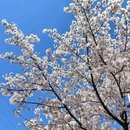 青岛旅游 缩略图 7