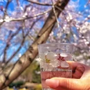 北京旅游 缩略图 9
