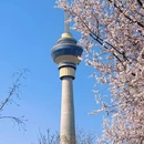 北京旅游 缩略图 8