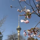北京旅游 缩略图 11
