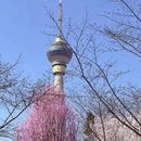 北京旅游 缩略图 12