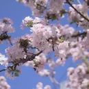 北京旅游 缩略图 5