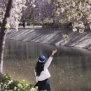 北京旅游 缩略图 4