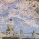 北京旅游 缩略图 1