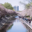 北京旅游 缩略图 6