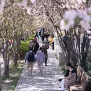 北京旅游 缩略图 7