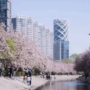 北京旅游 缩略图 10