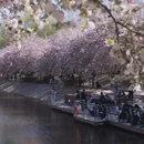 北京旅游 缩略图 11