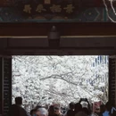 北京旅游 缩略图 12