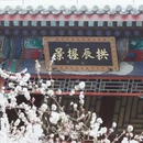 北京旅游 缩略图 13