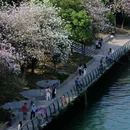 柳州旅游 缩略图 6