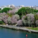 柳州旅游 缩略图 5