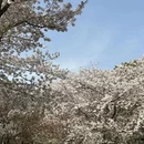 无锡旅游 缩略图 2