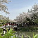 无锡旅游 缩略图 3