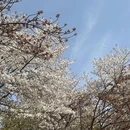 无锡旅游 缩略图 1