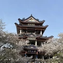 无锡旅游 缩略图 6