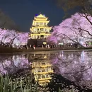 无锡旅游 缩略图 9