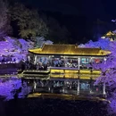 无锡旅游 缩略图 10