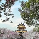 无锡旅游 缩略图 7