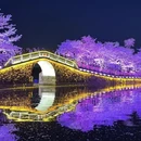 无锡旅游 缩略图 11