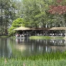 杭州旅游 缩略图 5