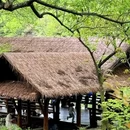 杭州旅游 缩略图 10