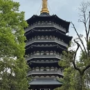杭州旅游 缩略图 5