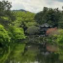 杭州旅游 缩略图 7