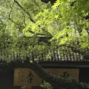 杭州旅游 缩略图 11
