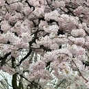 北京旅游 缩略图 4