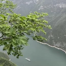 重庆旅游 缩略图 4