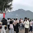 重庆旅游 缩略图 7