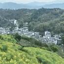 黄山旅游 缩略图 2
