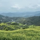 黄山旅游 缩略图 6
