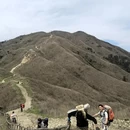 萍乡旅游 缩略图 7