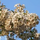 北京旅游 缩略图 3