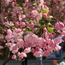 北京旅游 缩略图 4