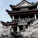 无锡旅游 缩略图 4