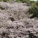 无锡旅游 缩略图 6