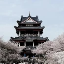 无锡旅游 缩略图 10