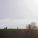 伊犁旅游 缩略图 7