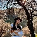 伊犁旅游 缩略图 10