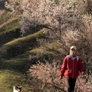 伊犁旅游 缩略图 7