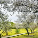 北京旅游 缩略图 6