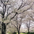北京旅游 缩略图 4
