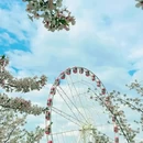北京旅游 缩略图 12