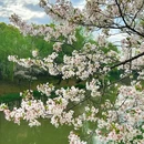 北京旅游 缩略图 9